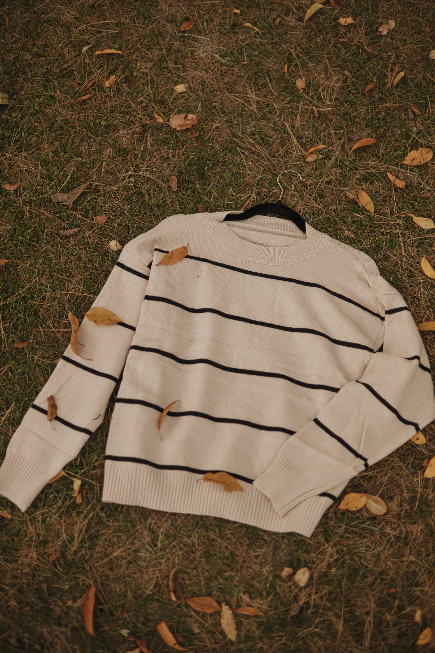 Striped Sweater